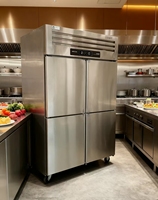 Congélateur multi-portes en acier inoxydable à double température de qualité supérieure, conception antirouille avec technologie Pro Freshness pour une conservation prolongée de la viande