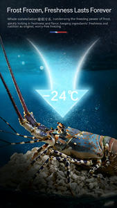 RK188 Meilleures ventes, réfrigérateurs intégrés de grande taille, de haute qualité, côte à côte - Product Image 5