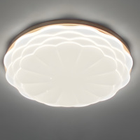 Plafonnier LED Moderne Rond à Montage en Saillie 24W 18W 13W 9W 6W avec Télécommande et Cache en Acrylique pour Salon