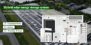 ระบบไฮบริดโซลาร์เซลล์ 10KW-30KW - แผงโซลาร์เซลล์ LONGI/JINKO/TRINA เป็นตัวเลือกเสริม + เครื่องแปลงไฟฟ้า Deye/Growatt + แบตเตอรี่ลิเธียม Dyness สำหรับบ้าน รุ่น WS-10K-HY - Product Image 1