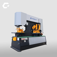 Machine hydraulique robuste pour le poinçonnage, le cisaillement, le rainurage et la découpe de profilés métalliques