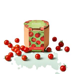 Vente directe Kits de jardin <span class=keywords><strong>en</strong></span> terre cuite Design champêtre de style animal pour la pépinière extérieure comprend un <span class=keywords><strong>pot</strong></span> de filet de sol de bureau gratuit - Product Image 1