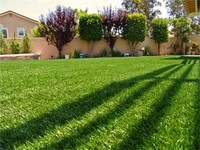 Gazon artificiel, gazon synthétique, tapis vert luxueux, fausse herbe pour jardin