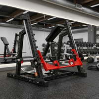 Máquina de remo comercial con carga de placas para gimnasio, entrenador de espalda, equipo de fitness para entrenamiento muscular de espalda para club de fitness