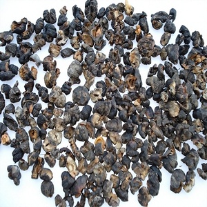 ผลไม้อัมลาแห้ง (Emblica Officinalis) ผลไม้แห้งทั้งลูก ผลไม้แห้งอินเดียกูสเบอร์รี่ - Product Image 1