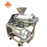 Machine industrielle motorisée d'extraction de pulpe de fruits pour tomates, avocats, ananas, graines - Pressage à froid et broyage