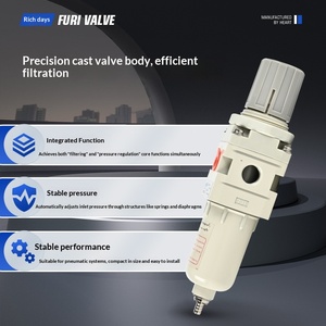 En Stock y Disponible para Entrega Inmediata, Válvula Reguladora Reductora de Presión con Filtro NPT de 1/4 de Pulgada - Product Image 2