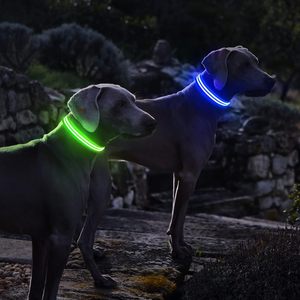 Collier et laisse pour chien en nylon réglable, rechargeable, avec motif personnalisé de luxe, vente en gros - Product Image 4