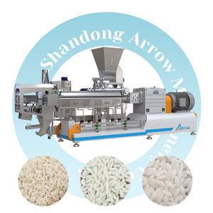 Ligne de production de riz fortifié à moteur automatique en acier inoxydable ARROW, haute efficacité, certifiée CE ISO, en vente - Product Image 1