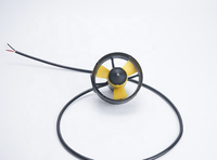 CHT200 étanche Submersible 12 ~ 24v moteur pour ROV/AUV/USV sous-marin propulseur bateau Impo Drones accessoires