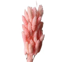 Herbe de Phalaris séchée véritable pour arrangements floraux et la fabrication de bouquets de mariage, pour la décoration intérieure et les cérémonies de remise de diplômes