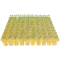 Vente en gros de cubes de laine de roche pour serre hydroponique maison et jardin jardinière à usage agricole pour la maison et le jardin