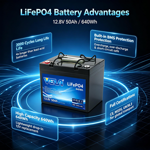 Batterie LiFePO4 12V 50Ah 640Wh à décharge profonde avec BMS pour camping-car, solaire, marine, voiturette de golf - Product Image 4