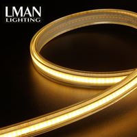 Bande lumineuse LED COB 220V haute densité flexible IP65 en PVC pour l'éclairage paysager et de jardin avec LED Epistar et conception sans points lumineux