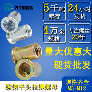 Wanqian Fasteners Carbon Steel Flat Head Rivet Nuts M3 M12 Zinc Plated Countersunk Head With Washer - Product Image 1