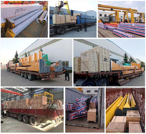 رافعة جسر علوية مع قضبان، غرفة ضخ علوية تعمل بمحور مفرد مع تحكم عن بعد - Product Image 4