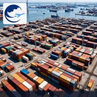 Transporte de Contenedores Puerta a Puerta de Ningbo a Países Bajos, Proveedor de Logística DDP