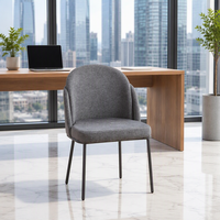 Chaise de salle à manger, ensemble de meubles de restaurant, mobilier de salle à manger nordique moderne, chaises de salle à manger en métal de luxe pas chères pour table à manger