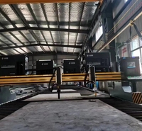 Machine de découpe à la flamme CNC automatique à prix d'usine, modèle robuste, équipement de découpe de plaques métalliques, entraînement à double moteur servo, GS6000
