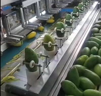 Automatische industriële mango-, ananas- en papajapelschilmachine / commerciële lijn voor het schillen en ontpitten van fruit, roestvrij staal
