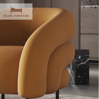 Canapé simple de luxe moderne et léger en tissu de velours Chaise de salon Fashion Simple Personalized Relax Sofa Chair Accent Chair
