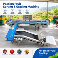 Direct Supply Box Sorteermachine Aangepaste Sorteeroplossing voor Passievruchten en Diverse Tropische Fruitplanten
