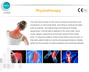 Appareil de thérapie laser tissulaire profond 1064 nm pour réduire la douleur neuropathique, la névralgie rhumatoïde, dispositif de physiothérapie et de réadaptation - Product Image 5