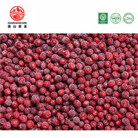 10kg Karton IQF Diepvries Cranberries Hele Verse Cranberryvruchten 24 Maanden Houdbaarheid Bulk Heilongjiang China
