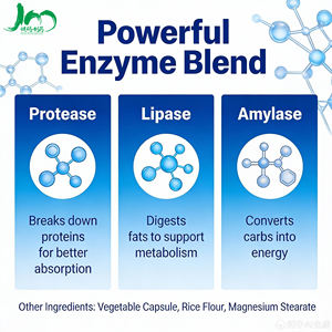 OEM ve ODM Doğal Bitkisel Süper Gıda Tozu Özel Etiketli Probiyotik ve Enzimli Yeşiller Yetişkinler ve Hamile Kadınlar için - Product Image 4