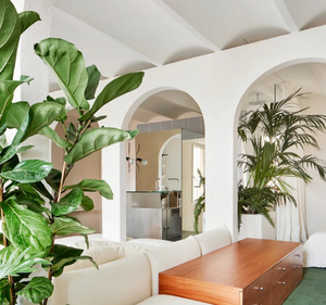 Vernis de finition de peinture à base d'eau. Film de protection de peinture murale Transparent pour murs intérieurs et extérieurs - Product Image 2