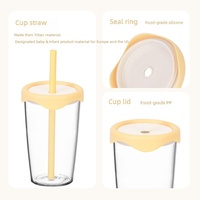 Bouteille d'eau Tritan sans BPA avec paille et couvercle anti-fuite, idéale pour les voyages, le bureau, les activités de plein air et la salle de sport – Vente directe usine
