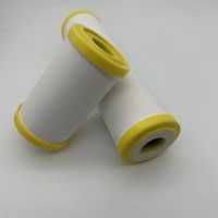 Noyau de filtre à eau en céramique microporeuse 0,1-0,2 μm, 10 pouces, en diatomite poreuse, accessoires pour purificateur d'eau de robinet de cuisine