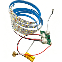 Kit DIY Veilleuse USB Type-C avec carte PCB LED, bande LED 3 couleurs et interrupteur tactile à intensité variable pour lampe de table rechargeable, pièces de base en bois
