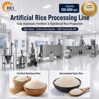 Ligne de production automatique de riz artificiel haute capacité, machine d'extrusion de grains de riz nutritifs enrichis, usine de fabrication