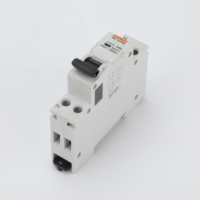 Disjoncteur miniature C32A RCBO 1P+N 4500A avec bouton de test mensuel pour usage domestique et commercial