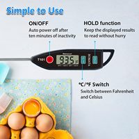 Thermomètre numérique à eau SEB Accessories, acier inoxydable 304, étanche IPX7, lecture instantanée, sonde de 5 pouces pour la cuisson, le barbecue, les bougies
