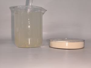 ベストセラー有機魚タンパク質アミノ酸野菜肥料粉末 - Product Image 3