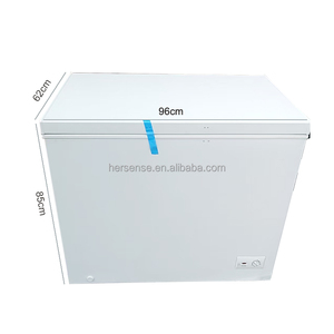 Congelador Horizontal BE251 de Gran Capacidad con Cesta Extraíble para Uso Doméstico, en Garajes y Comercial, Diseño de Tapa de Apertura Fácil - Product Image 2