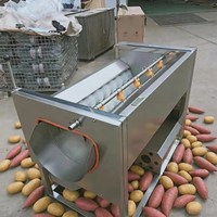 Multifunctionele groentewas- en schilmachine, borsteltype fruitreiniger, automatische roestvrijstalen voedselverwerkingsapparatuur
