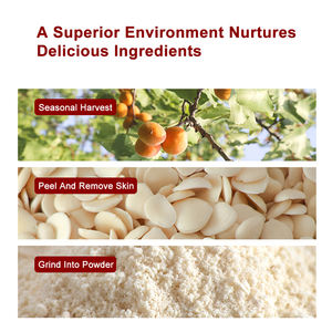 Polvere di Estratto di Nocciolo di Albicocca Naturale e Biologico, 100% Puro, Grado Alimentare, Marca TRD - Product Image 3