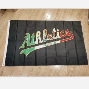 Chất Lượng Cao Nhiệm Vụ Nặng Nề Bền Tùy Chỉnh In Ấn 200D Polyester Cờ Với Brass Grommets - Product Image 2