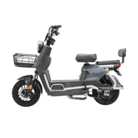 Sepeda Kota Listrik Digital Pintar 48V dengan Motor Hub Belakang 3-Kecepatan Konfigurasi Tinggi Rangka Baja Baterai Asam Timbal