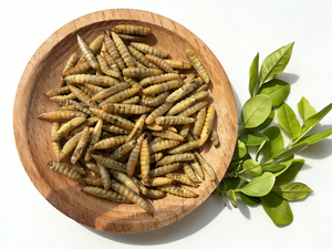 หนอนแมลงวันดำอบแห้งที่ผ่านการรับรอง ปลอดภัย บริสุทธิ์ คุณภาพพรีเมียม อาหารเสริมคุณค่าทางโภชนาการสำหรับปลาคาร์<span class=keywords><strong>ฟ</strong></span> นกแก้ว สัตว์ปีก ใช้สำหรับการเพาะพันธุ์ทุกวัน - Product Image 4