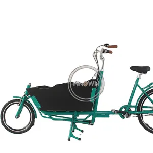 OEM New Style Two Wheel Cart Electric Cargo Bike Family Use Motor Electric Bicycle for Delivery