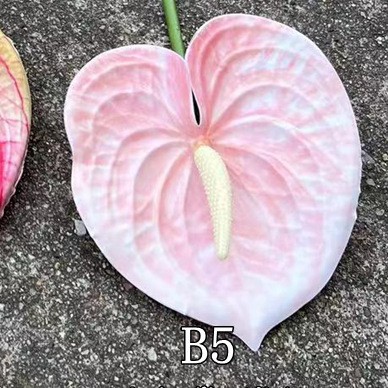 3# Rosa, B5 piccolo rosso palmo polvere leggera