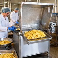 Machine à frire la viande industrielle pour le porc croustillant, les ailes de poulet, les collations, les usines de transformation alimentaire