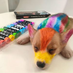 Barra de Tinte Portátil <span class=keywords><strong>para</strong></span> Mascotas, de Venta Caliente, con Diseño de Dibujos Animados, Fórmula No Tóxica, Fácil de Lavar, Sin Residuos, <span class=keywords><strong>para</strong></span> el Cuidado de Mascotas - Product Image 2