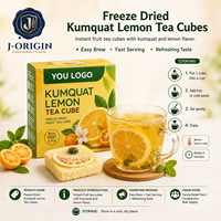 Gefreeze-droogde Kumquat Citroen Thee Kubus Instant Fruitthee Drank OEM Private Label Leverancier China Voedingsmiddelenkwaliteit 12 Maanden Houdbaarheid
