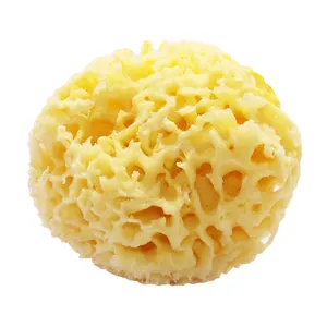 Terbaik Jual Natural Belinni Sea Sponge Tali untuk Mandi