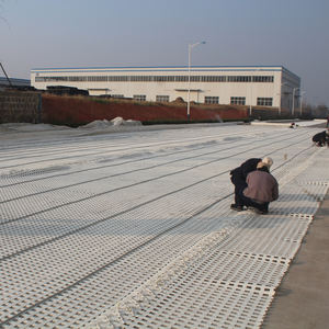 Géogrille minière polymère souterrain Polyester Géogrille <span class=keywords><strong>grille</strong></span> d'extraction de charbon pour la protection - Product Image 6